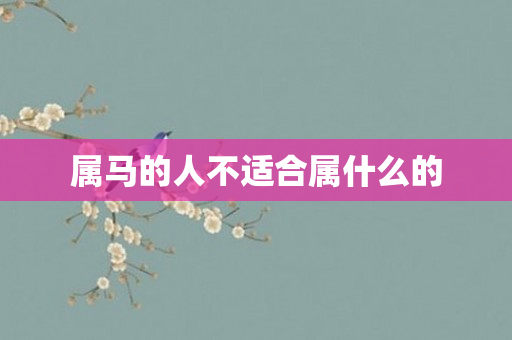 属马的人不适合属什么的