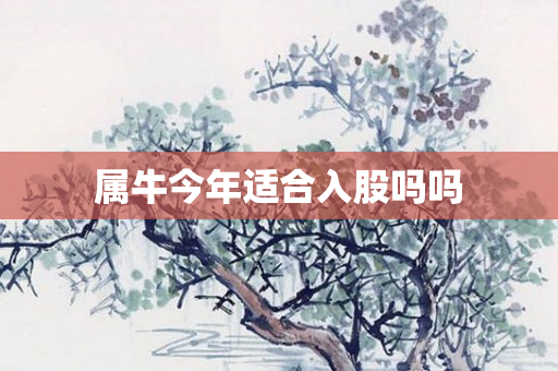 属牛今年适合入股吗吗