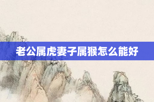 老公属虎妻子属猴怎么能好