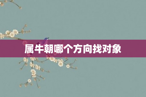 属牛朝哪个方向找对象