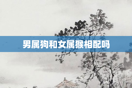 男属狗和女属猴相配吗