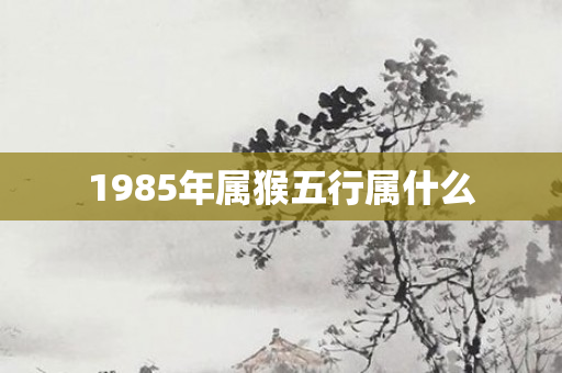1985年属猴五行属什么