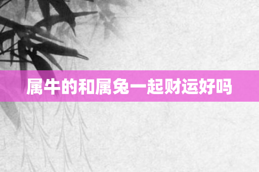 属牛的和属兔一起财运好吗