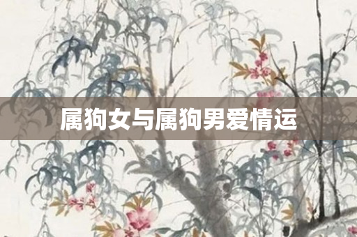 属狗女与属狗男爱情运