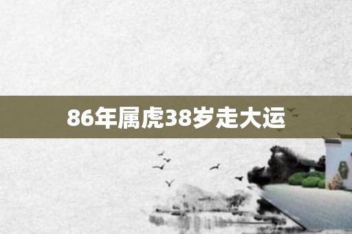 86年属虎38岁走大运