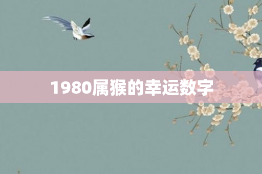 1980属猴的幸运数字