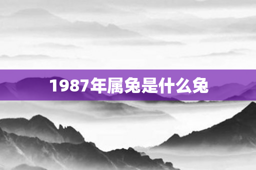 1987年属兔是什么兔