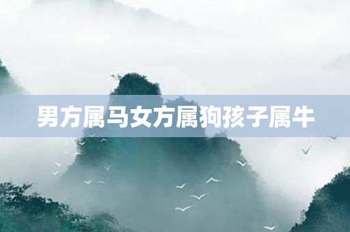 男方属马女方属狗孩子属牛