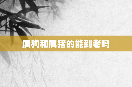 属狗和属猪的能到老吗