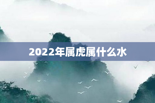 2022年属虎属什么水