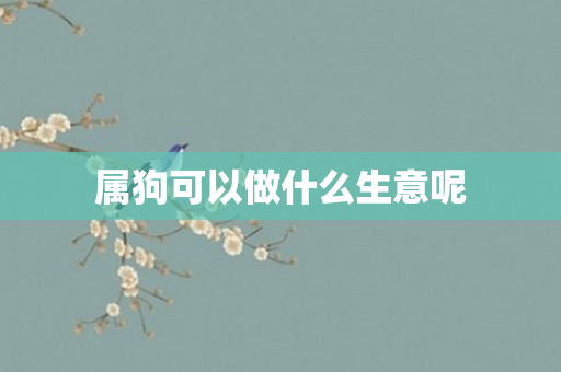 属狗可以做什么生意呢