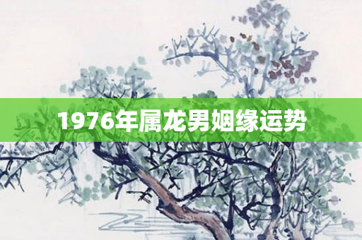 1976年属龙男姻缘运势