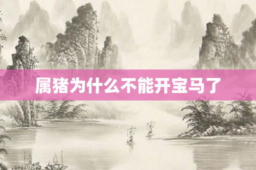 属猪为什么不能开宝马了