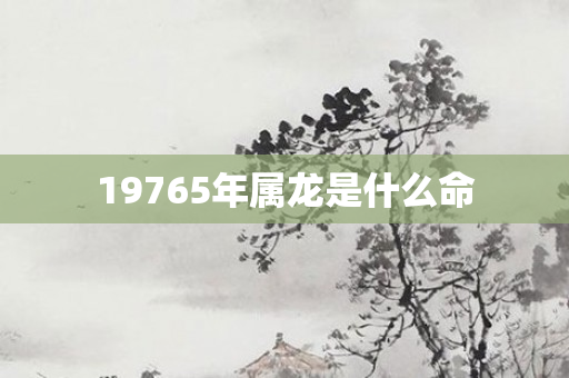 19765年属龙是什么命