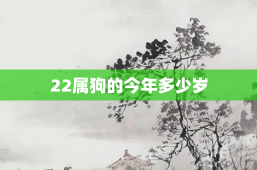 22属狗的今年多少岁