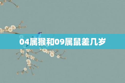 04属猴和09属鼠差几岁