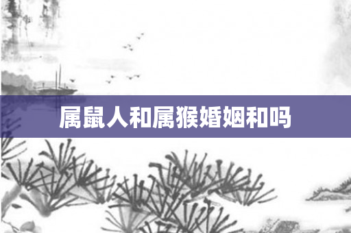 属鼠人和属猴婚姻和吗