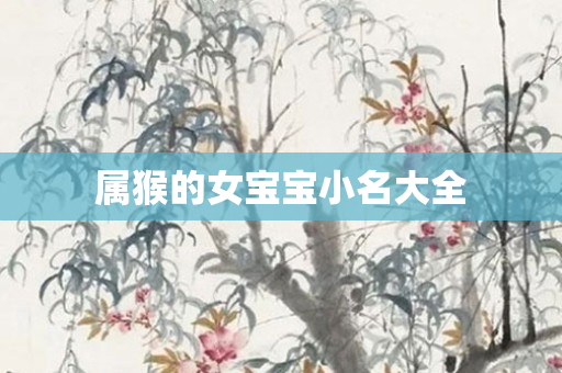 属猴的女宝宝小名大全
