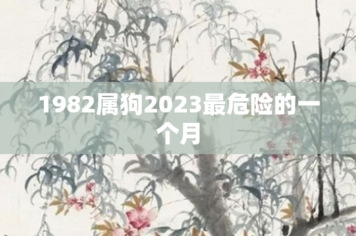 1982属狗2023最危险的一个月