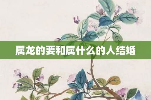 属龙的要和属什么的人结婚