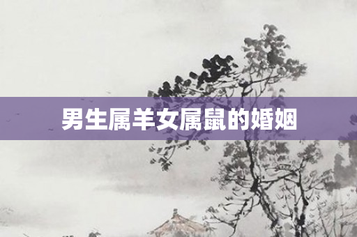 男生属羊女属鼠的婚姻