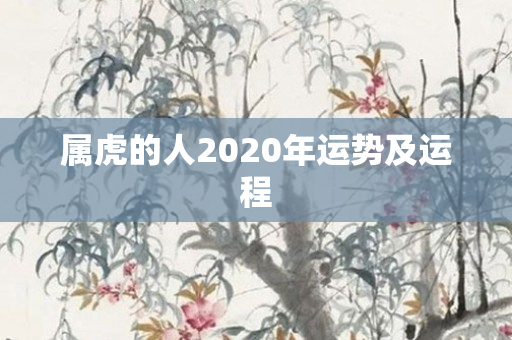 属虎的人2020年运势及运程