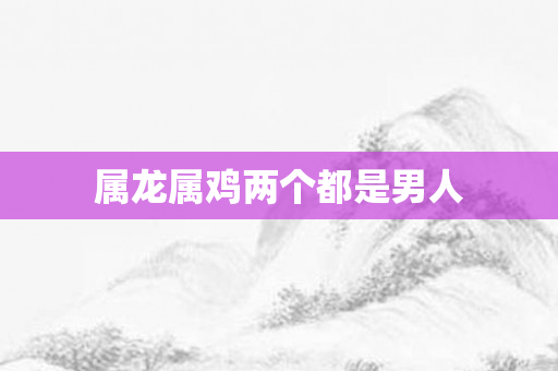 属龙属鸡两个都是男人