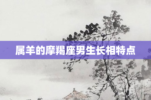 属羊的摩羯座男生长相特点