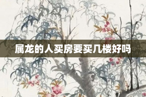 属龙的人买房要买几楼好吗