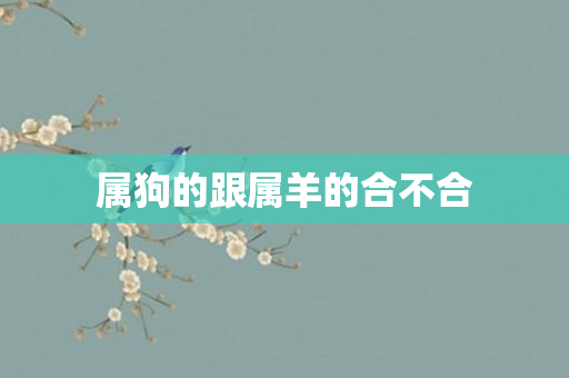 属狗的跟属羊的合不合