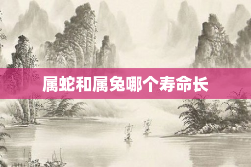 属蛇和属兔哪个寿命长
