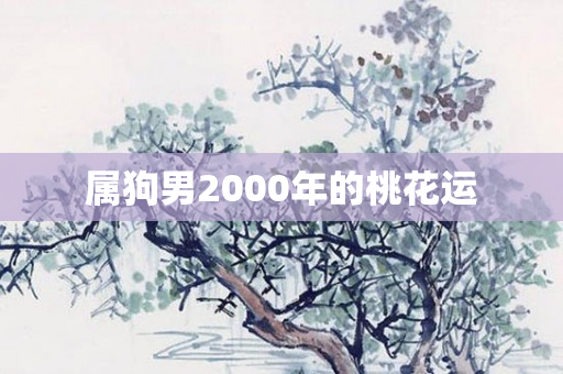 属狗男2000年的桃花运