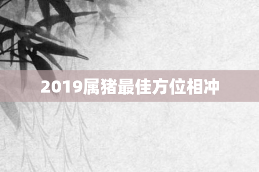 2019属猪更佳方位相冲