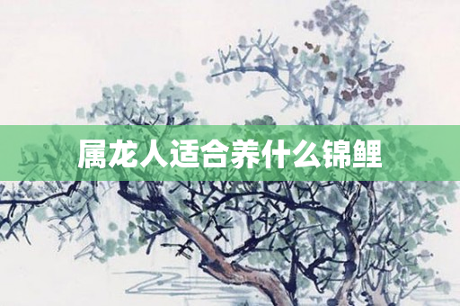 属龙人适合养什么锦鲤