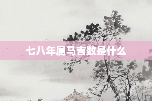 七八年属马吉数是什么