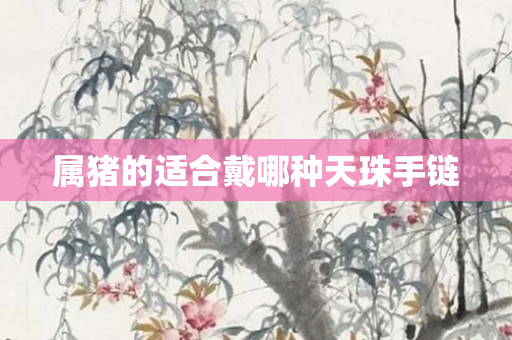 属猪的适合戴哪种天珠手链