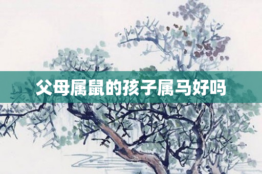 父母属鼠的孩子属马好吗