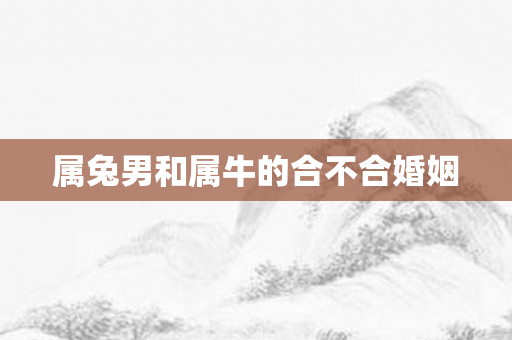 属兔男和属牛的合不合婚姻