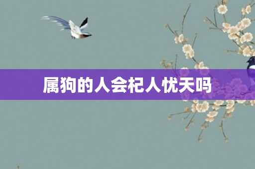 属狗的人会杞人忧天吗