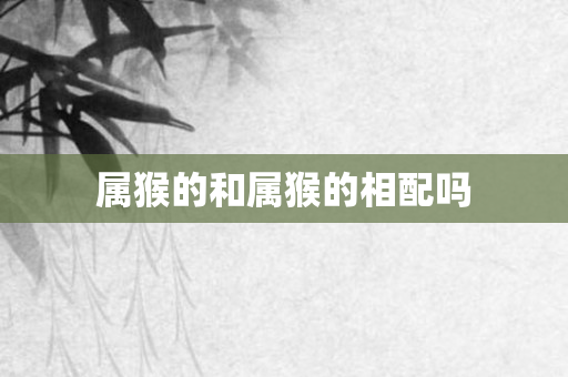 属猴的和属猴的相配吗