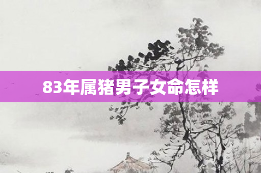 83年属猪男子女命怎样