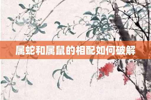 属蛇和属鼠的相配如何破解