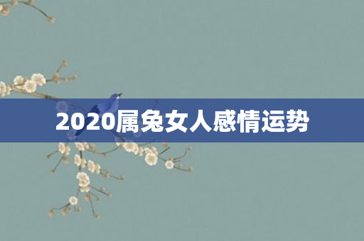 2020属兔女人感情运势