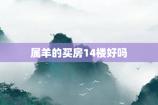 属羊的买房14楼好吗