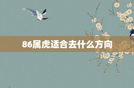 86属虎适合去什么方向