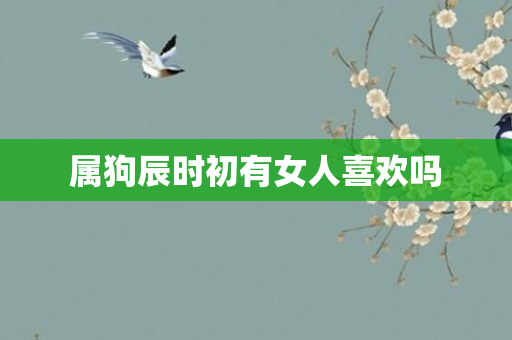 属狗辰时初有女人喜欢吗