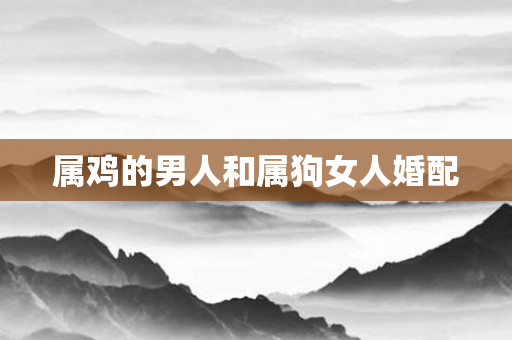 属鸡的男人和属狗女人婚配