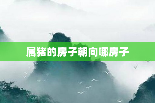 属猪的房子朝向哪房子