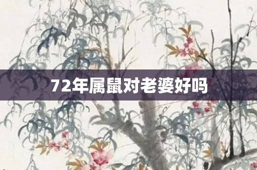 72年属鼠对老婆好吗
