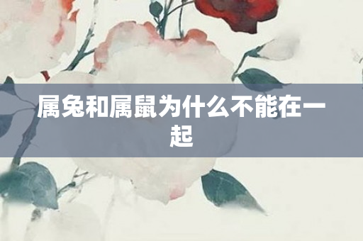 属兔和属鼠为什么不能在一起